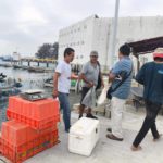 🐟𝗕𝗨𝗘𝗡𝗔 𝗔𝗖𝗘𝗣𝗧𝗔𝗖𝗜Ó𝗡 𝗘𝗡𝗧𝗥𝗘 𝗟𝗔 𝗖𝗜𝗨𝗗𝗔𝗗𝗔𝗡Í𝗔 𝗛𝗔 𝗧𝗘𝗡𝗜𝗗𝗢 𝗘𝗟 𝗠𝗘𝗥𝗖𝗔𝗗𝗜𝗧𝗢 𝗗𝗘 𝗣𝗘𝗦𝗖𝗔𝗗𝗘𝗥𝗜𝗔 𝗗𝗘𝗟 𝗕𝗨𝗟𝗘𝗩𝗔𝗥