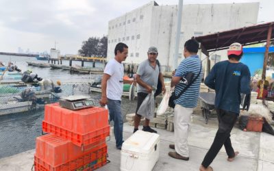 🐟𝗕𝗨𝗘𝗡𝗔 𝗔𝗖𝗘𝗣𝗧𝗔𝗖𝗜Ó𝗡 𝗘𝗡𝗧𝗥𝗘 𝗟𝗔 𝗖𝗜𝗨𝗗𝗔𝗗𝗔𝗡Í𝗔 𝗛𝗔 𝗧𝗘𝗡𝗜𝗗𝗢 𝗘𝗟 𝗠𝗘𝗥𝗖𝗔𝗗𝗜𝗧𝗢 𝗗𝗘 𝗣𝗘𝗦𝗖𝗔𝗗𝗘𝗥𝗜𝗔 𝗗𝗘𝗟 𝗕𝗨𝗟𝗘𝗩𝗔𝗥