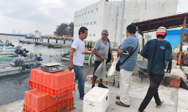 🐟𝗕𝗨𝗘𝗡𝗔 𝗔𝗖𝗘𝗣𝗧𝗔𝗖𝗜Ó𝗡 𝗘𝗡𝗧𝗥𝗘 𝗟𝗔 𝗖𝗜𝗨𝗗𝗔𝗗𝗔𝗡Í𝗔 𝗛𝗔 𝗧𝗘𝗡𝗜𝗗𝗢 𝗘𝗟 𝗠𝗘𝗥𝗖𝗔𝗗𝗜𝗧𝗢 𝗗𝗘 𝗣𝗘𝗦𝗖𝗔𝗗𝗘𝗥𝗜𝗔 𝗗𝗘𝗟 𝗕𝗨𝗟𝗘𝗩𝗔𝗥