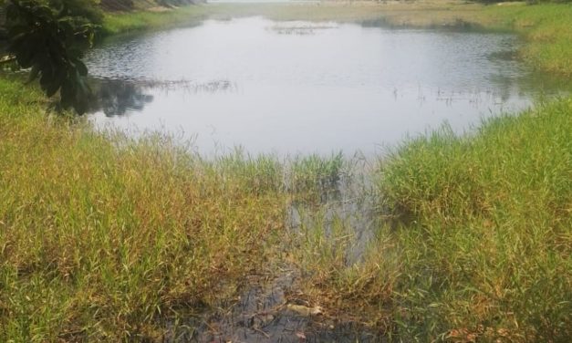 Drenaje vierte aguas negras a laguna de Tarimoya vecinos piden ayuda a PMA
