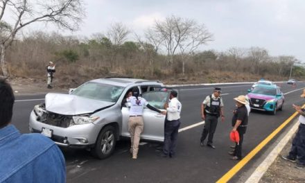 Caballo suelto en carretera provoca aparatoso accidente