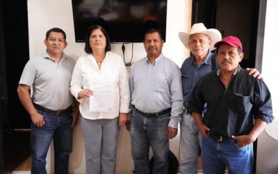 Impulsando al sector agropecuario con el firme propósito de promover la producción y productividad en las Unidades Económicas Rurales, este jueves la Presidenta Municipal de San Andrés Tuxtla, la doctora María Elena Solana Calzada recibió al equipo de asistencia técnica designado por la Secretaría de Desarrollo Agropecuario