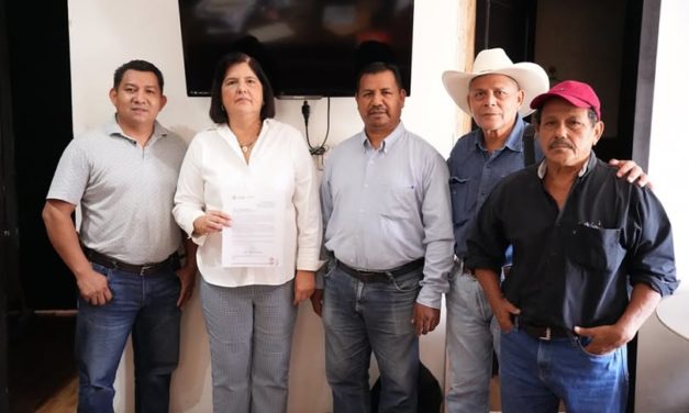 Impulsando al sector agropecuario con el firme propósito de promover la producción y productividad en las Unidades Económicas Rurales, este jueves la Presidenta Municipal de San Andrés Tuxtla, la doctora María Elena Solana Calzada recibió al equipo de asistencia técnica designado por la Secretaría de Desarrollo Agropecuario
