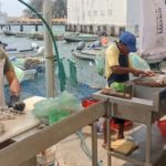 Se preparan pescadores para Cuarto Festival Gastronómico del Pescador
