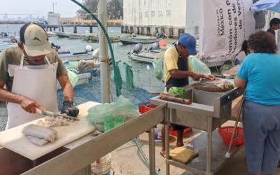 Se preparan pescadores para Cuarto Festival Gastronómico del Pescador