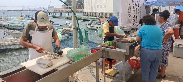 Se preparan pescadores para Cuarto Festival Gastronómico del Pescador