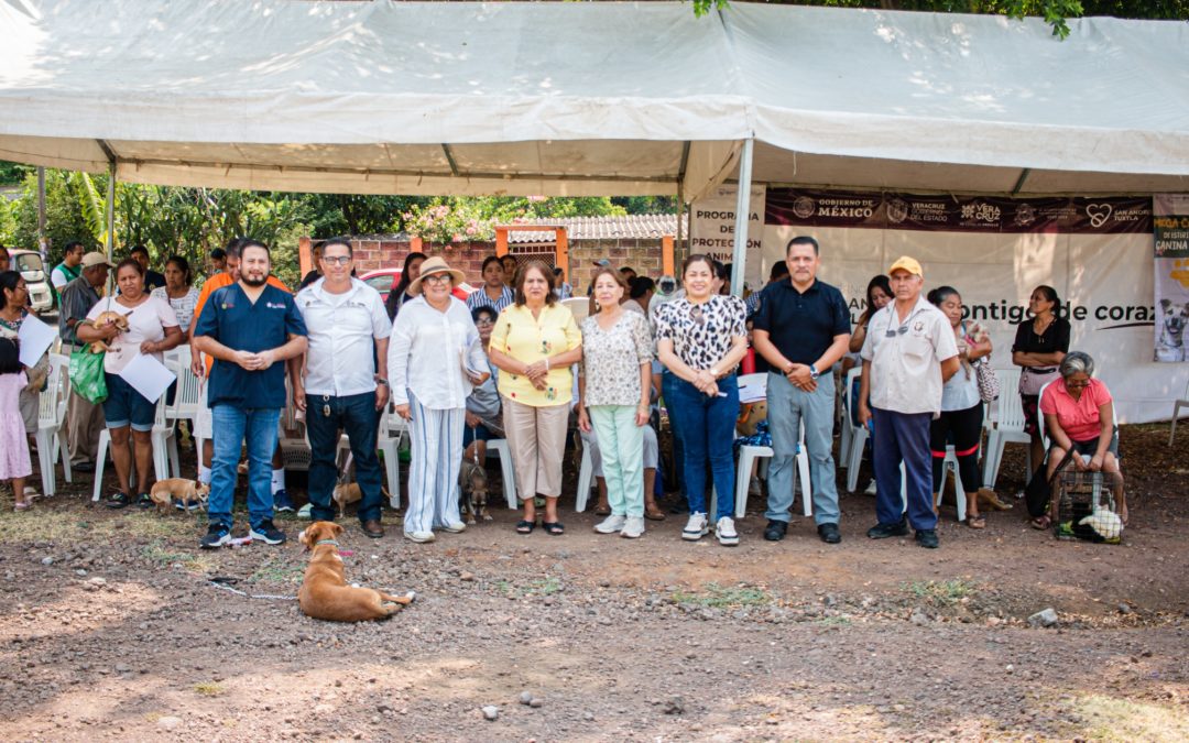 ???????????? ? ?????? ?????????? ???? ?????ñ? ?? ????????????ó? ?????? ? ?????? ?? ??? ????é? ??????