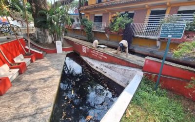 ACCIONES PARA EVITAR AGENTES CONTAMINANTES EN EL SECTOR DEL PUENTE PUCHUAPAN EN SAN ANDRES TUXTLA