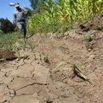 Trabajadores del campo hablan de las afectaciones de la sequía. 🏜️
