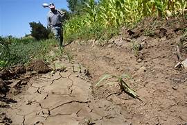 Trabajadores del campo hablan de las afectaciones de la sequía. 🏜️