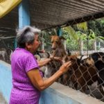 Albergue de animales “La Roca” organiza Perrotón 2025