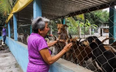 Albergue de animales “La Roca” organiza Perrotón 2025