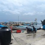 PESCADORES REGISTRAN PERDIDAS POR TEMPORAL