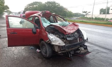Automovilista atropella a #caballo en la carretera federal Veracruz-Xalapa