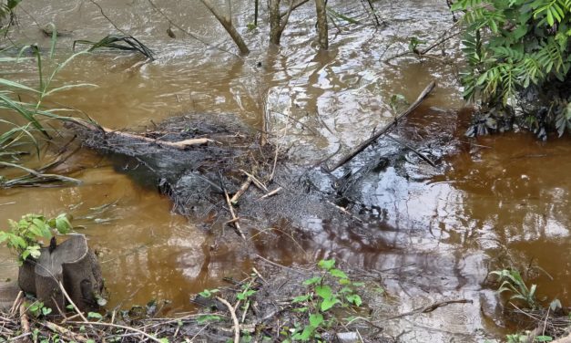 Cinco días sin agua en cuatro municipios de Veracruz por culpa de Pemex