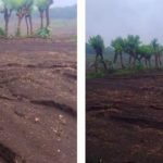 Ante riesgo de deslaves por lluvias, Ayuntamiento de San Andrés Tuxtla, exhorta a agricultores a proteger manantiales que abastecen red de agua potable
