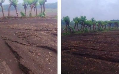 Ante riesgo de deslaves por lluvias, Ayuntamiento de San Andrés Tuxtla, exhorta a agricultores a proteger manantiales que abastecen red de agua potable