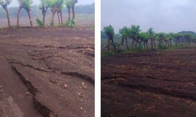 Ante riesgo de deslaves por lluvias, Ayuntamiento de San Andrés Tuxtla, exhorta a agricultores a proteger manantiales que abastecen red de agua potable