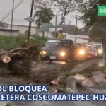ÁRBOL BLOQUEA CARRETERA COSCOMATEPEC–HUATUSCO