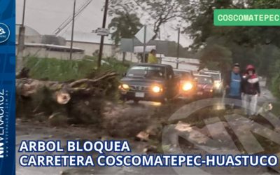 ÁRBOL BLOQUEA CARRETERA COSCOMATEPEC–HUATUSCO