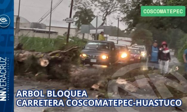 ÁRBOL BLOQUEA CARRETERA COSCOMATEPEC–HUATUSCO
