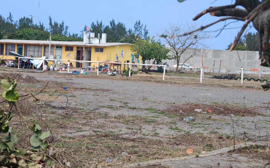 Fundación Yaritza realiza Venta con Causa para continuar con equinoterapias
