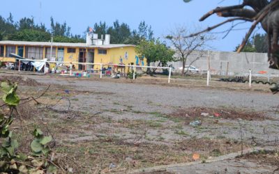 Fundación Yaritza realiza Venta con Causa para continuar con equinoterapias