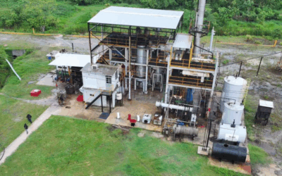 🔍 Localizan “mini‑refinería” de huachicol en Veracruz; aseguran medio millón de litros de crudo