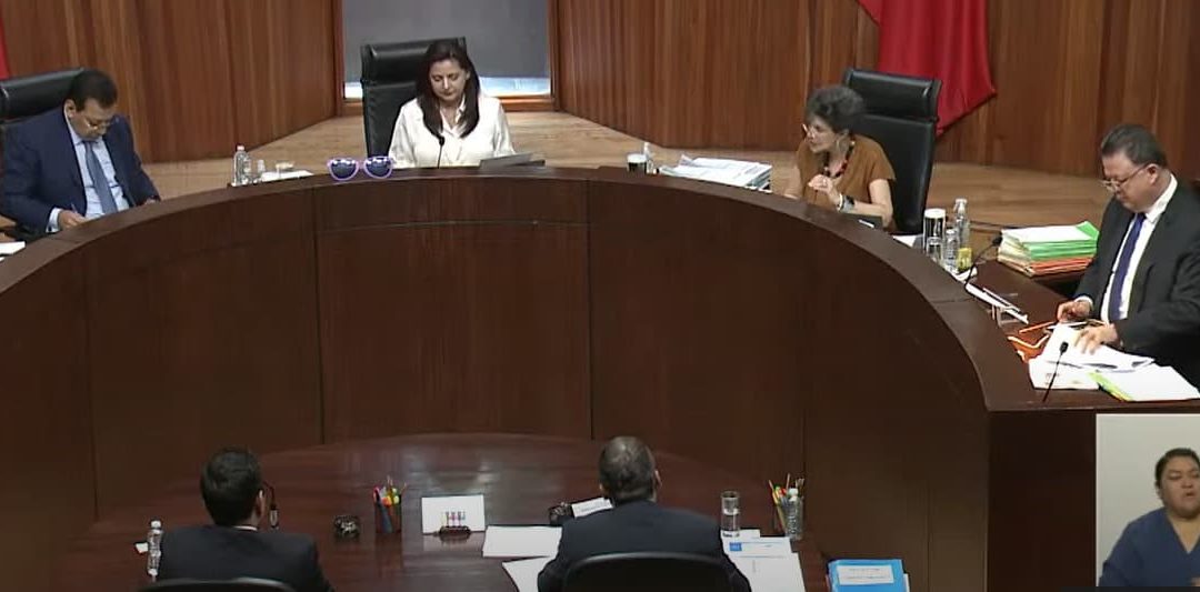 CONFIRMAN VIOLENCIA POLÍTICA DE GÉNERO DE CARICATURISTRA CONTRA ELIZABETH MORALES