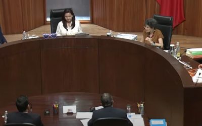 CONFIRMAN VIOLENCIA POLÍTICA DE GÉNERO DE CARICATURISTRA CONTRA ELIZABETH MORALES