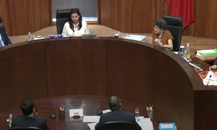 CONFIRMAN VIOLENCIA POLÍTICA DE GÉNERO DE CARICATURISTRA CONTRA ELIZABETH MORALES
