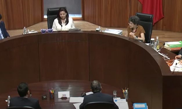 CONFIRMAN VIOLENCIA POLÍTICA DE GÉNERO DE CARICATURISTRA CONTRA ELIZABETH MORALES