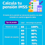 Estas son las diferentes modalidades del IMSS para tener derecho a una pensión en México