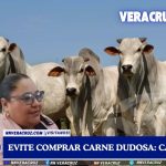 ANTE EMERGENCIA POR GUSANO BARRENADOR, CANIRAC PIDE EVITAR COMPRA DE CARNE DE DUDOSA PROCEDENIA