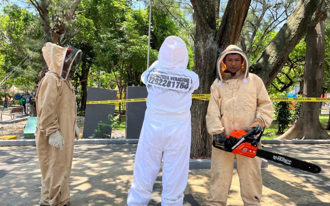 TERCER ATAQUE DE ABEJAS EN PARQUE DE VERACRUZ