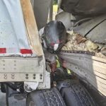 IMPRESIONANTE IMAGEN, MOTOCICLISTA QUEDA ATRAPADO ENTRE DOS TRACTOCAMIONES