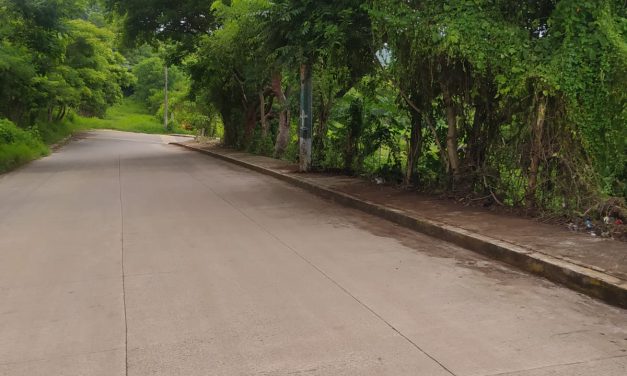 MANTENIMIENTO EN ESPACIOS PUBLICOS DE SAN ANDRES TUXTLA