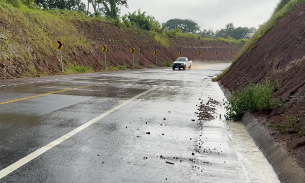 𝗗𝗘𝗦𝗟𝗔𝗩𝗘 𝗘𝗡 𝗟𝗜𝗕𝗥𝗔𝗠𝗜𝗘𝗡𝗧𝗢 𝗗𝗘 𝗖𝗢𝗔𝗧𝗘𝗣𝗘𝗖