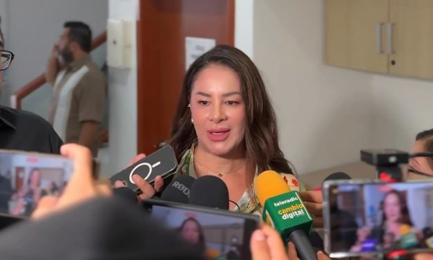Municipio de Veracruz no cuenta con recicladora de llantas y baterias: Lissethe Martínez