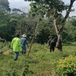 DOS CAMPESINOS ALCABZADOS POR UN RAYO