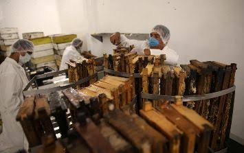 CERCA DEL 30 POR CIENTO DE LA MIEL QUE SE OFERTA EN MÉXICO ES FALSIFICADA