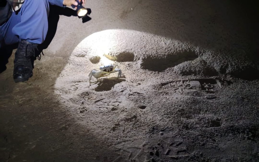 Por temporada de veda del cangrejo azul, se implementan recorridos de vigilancia en zona de costa de LosTuxtlas