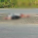 🚔LOCALIZAN RESTOS HUMANOS EN LA CARRETERA FEDERAL ÁLAMO-TEPETZINTLA