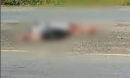 🚔LOCALIZAN RESTOS HUMANOS EN LA CARRETERA FEDERAL ÁLAMO-TEPETZINTLA