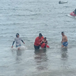 Operación Salvavidas Verano 2025 concluye exitosamente: Semar