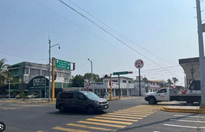 Un árbol se cayó en la avenida Cuauhtémoc en Veracruz