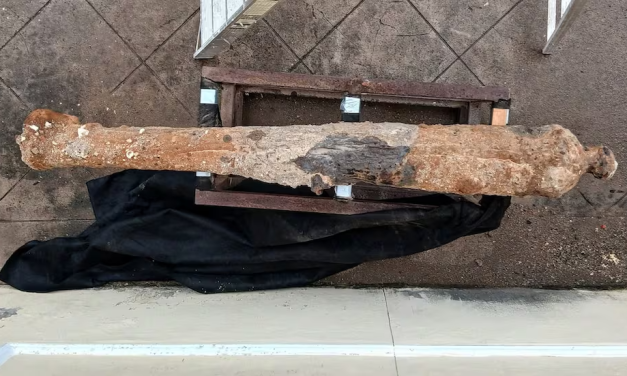 Piden al INAH exponer los cañones hallados en las obras en el museo de la ciudad