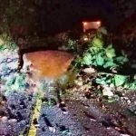 DERRUMBE EN EL MUNICIPIO DE TEQUILA…BLOQUEADA LA CARRETERA TEQUILA – CUMBRE DE TEQUILA