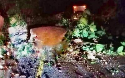 DERRUMBE EN EL MUNICIPIO DE TEQUILA…BLOQUEADA LA CARRETERA TEQUILA – CUMBRE DE TEQUILA
