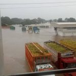 TRANSPORTISTA REGISTRAN PERDIDAS MILLONARIAS…UNIDADES Y FRUTAS  BAJO EL AGUA